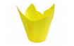 капсулы тюльпан желтые, 10 шт