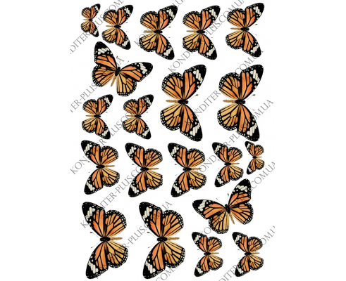бабочки тигровые