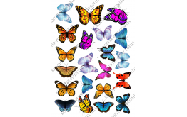вафельная картинка бабочки 3
