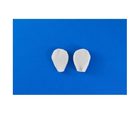 Лепесток нарцисса