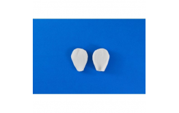 Лепесток нарцисса