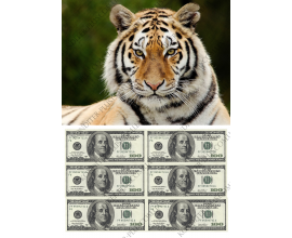 вафельная картинка тигр+доллары