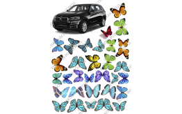 вафельная картинка машина +бабочки