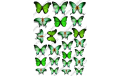 вафельная картинка зеленые бабочки