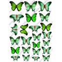 вафельная картинка зеленые бабочки