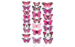 вафельная картинка бабочки №8