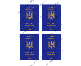вафельная картинка паспорт 4 шт