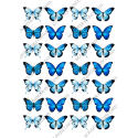 вафельная картинка бабочки 13