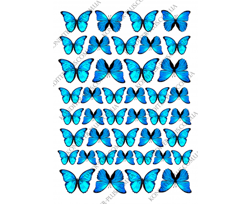 вафельная картинка бабочки 23