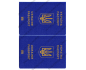 вафельная картинка паспорт україни №2 (20 см)